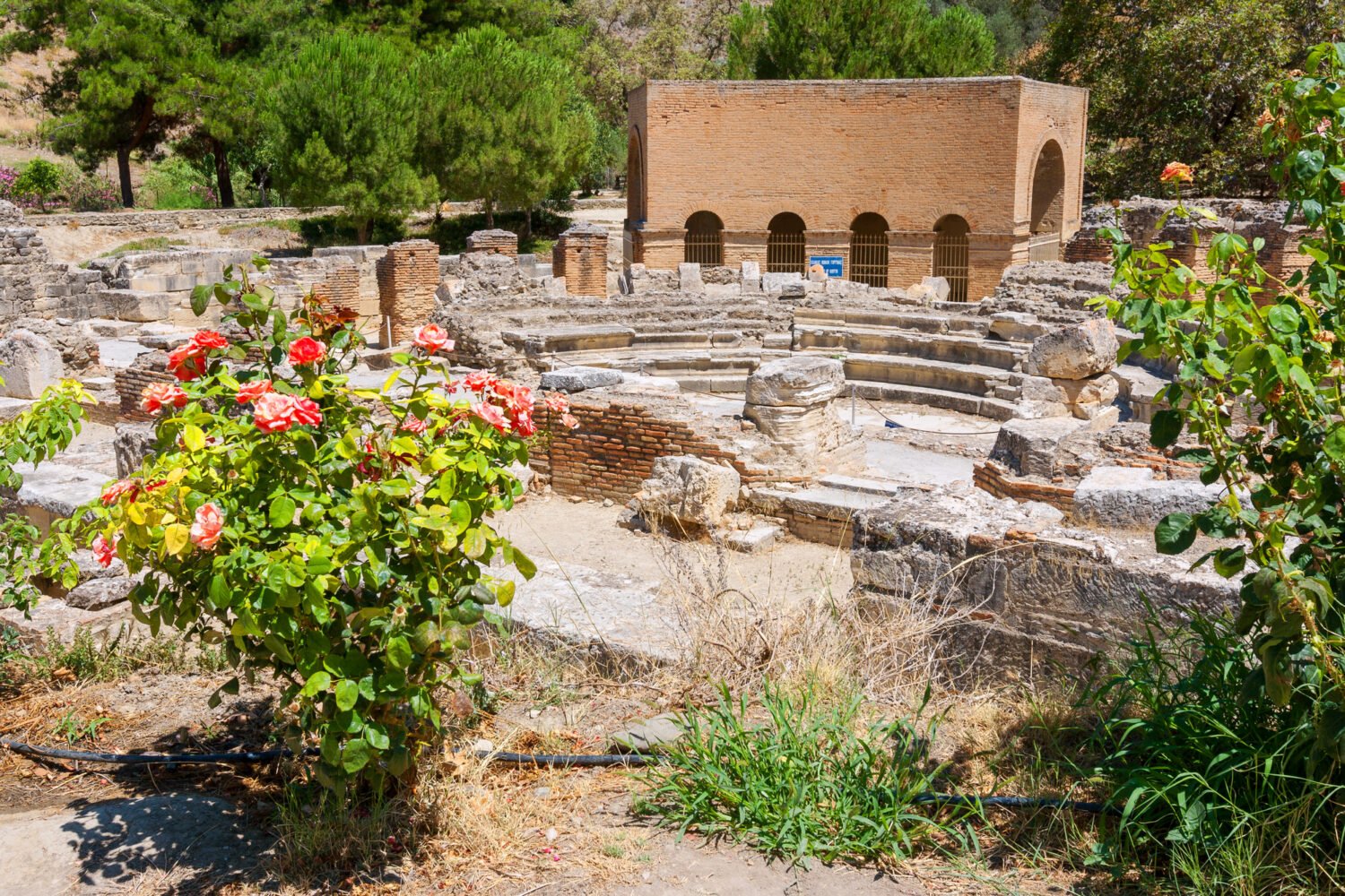 νομικός κώδικας Γόρτυνα