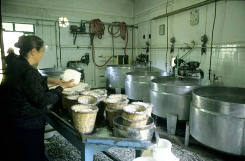 village cheese making